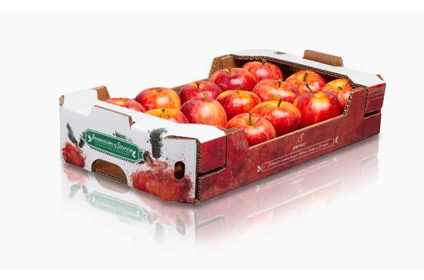 Rambleños presents the logistical improvements of its Airfruit container