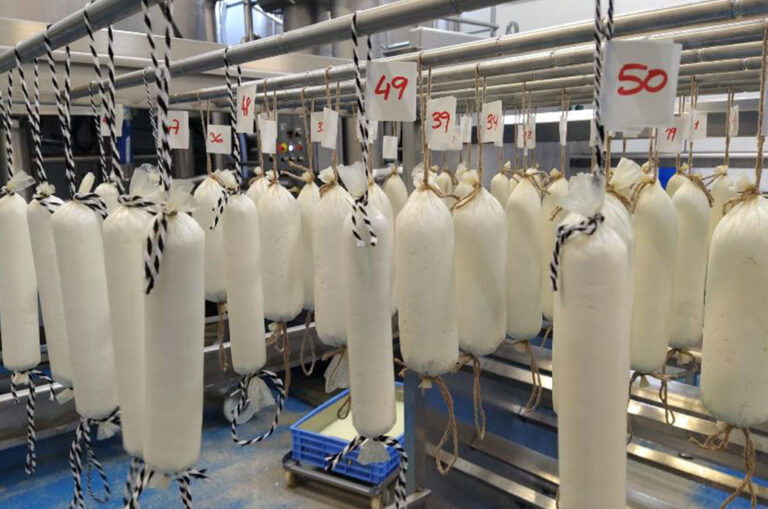 El IRTA y Montbrú desarrollan un queso con forma de embutido