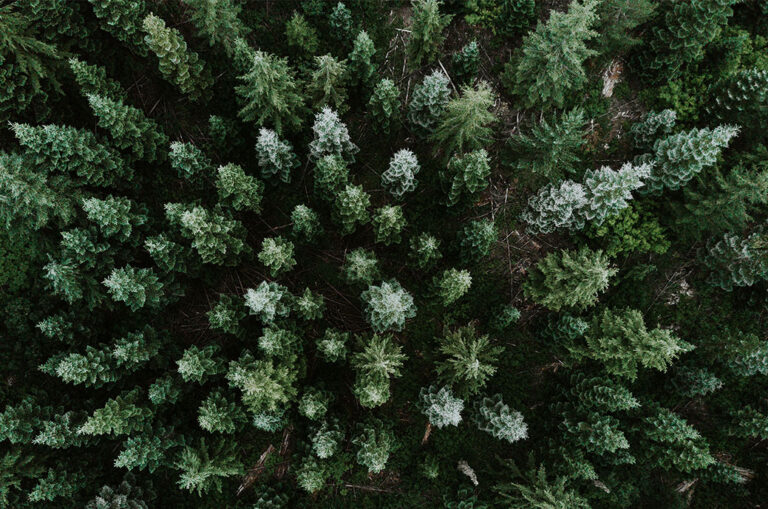 HP anuncia sus objetivos para combatir el cambio climático