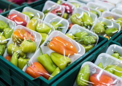 L'Espagne va interdire la vente de fruits et légumes dans des contenants en plastique