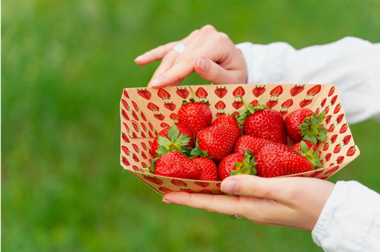 Hubergroup lancia gli inchiostri offset a foglio per il contatto con gli alimenti