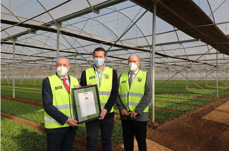 Florette, das erste Fresh-Cut-Unternehmen, das das AENOR-Zertifikat für nachhaltige Pflanzenproduktion erhalten hat
