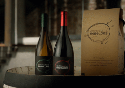 Bodega Sierra Norte and Fundación Asindown bet on solidarity wines