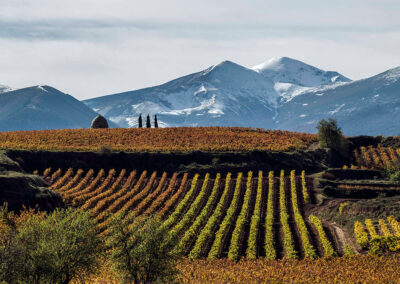 Rioja wird Gastgeber der World's Best Vineyards 2023 Awards sein