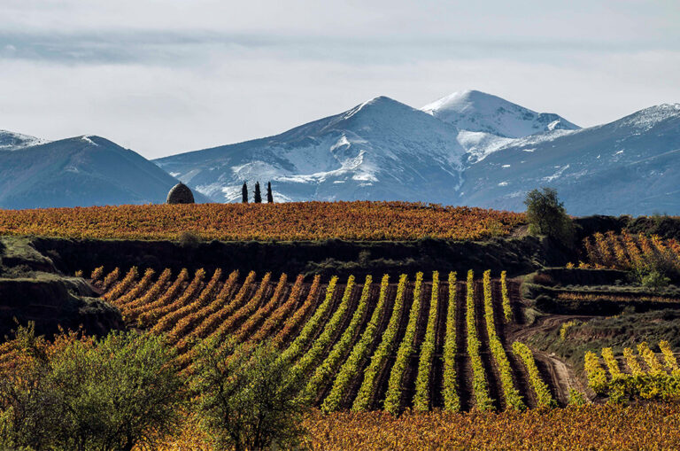Риоха примет награду World's Best Vineyards 2023