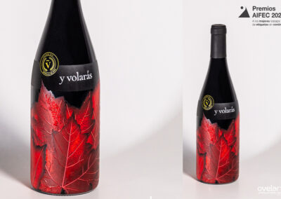 Ovelar, Premio AIFEC por su sleeve “Y volarás”
