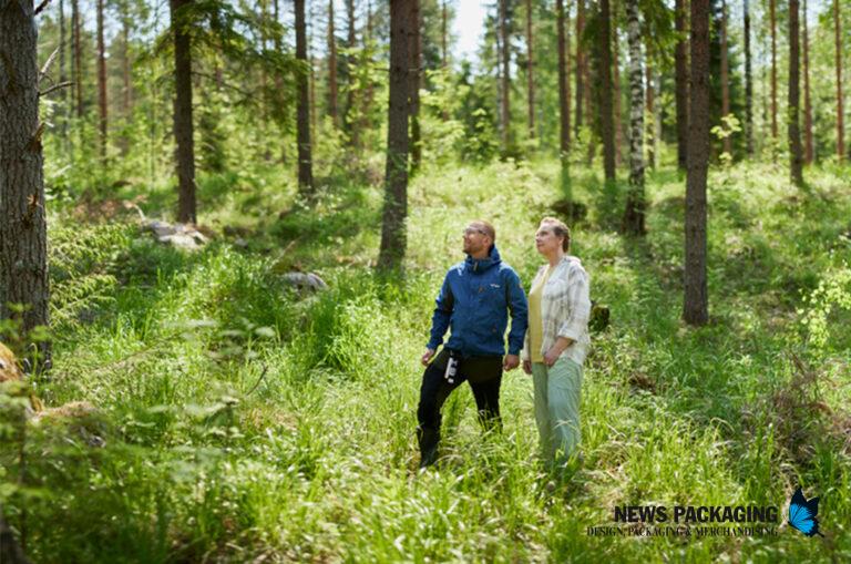 Ganadores del concurso de ideas Renew Metsä