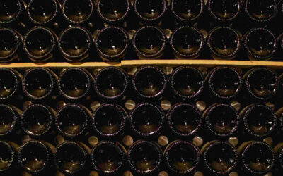 Mais de 200 vinícolas poderão calcular sua pegada de carbono com uma ferramenta do Inèdit