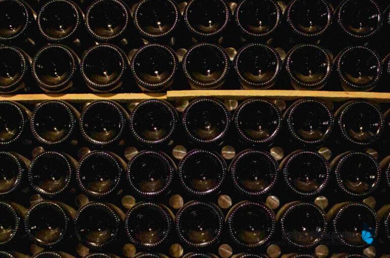 Più di 200 aziende vinicole potranno calcolare la propria impronta di carbonio con uno strumento di Inèdit