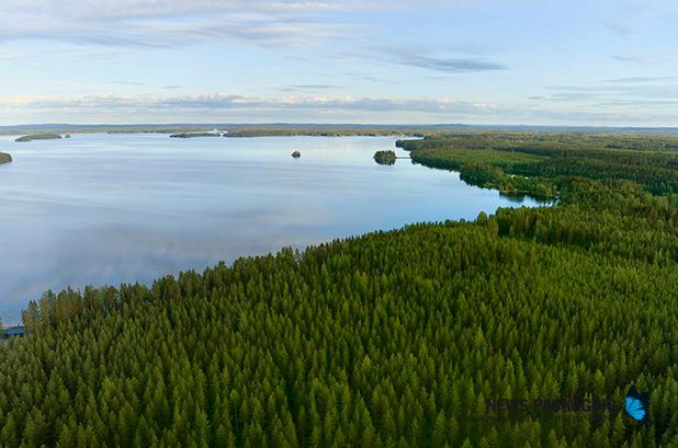 Metsä Board, reconocida por CDP