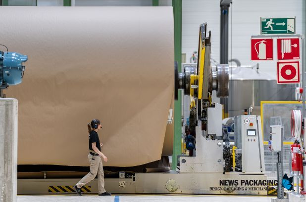 papel y cartón papel y cartón