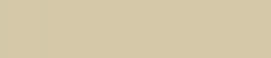 BANNER PRINCIPAL PCM